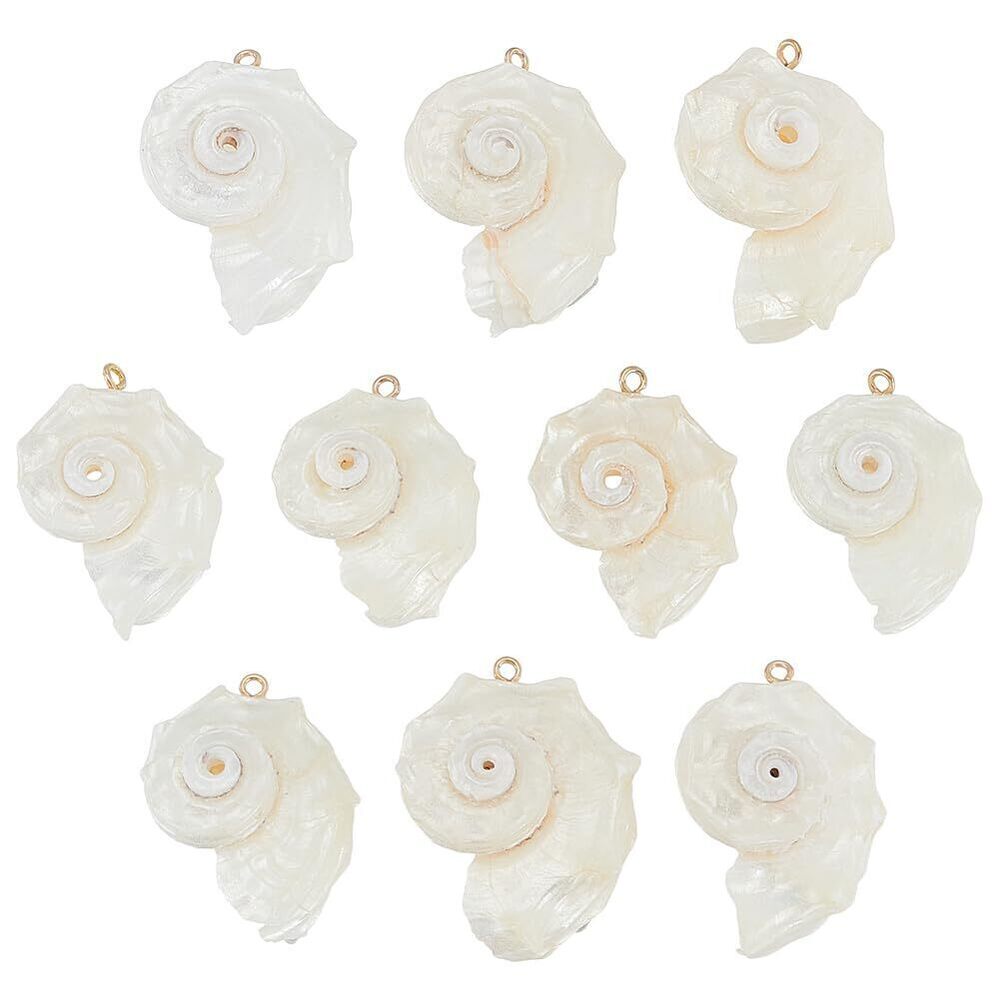 4379 10Pcs Shell Pendant Seashells Charm Marine Life Shell Charms
